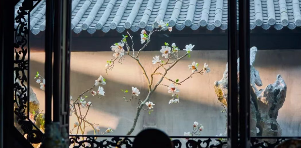 《兰香如故》让全世界都“上头”了！外网网友：终于有部剧不把我当傻子了